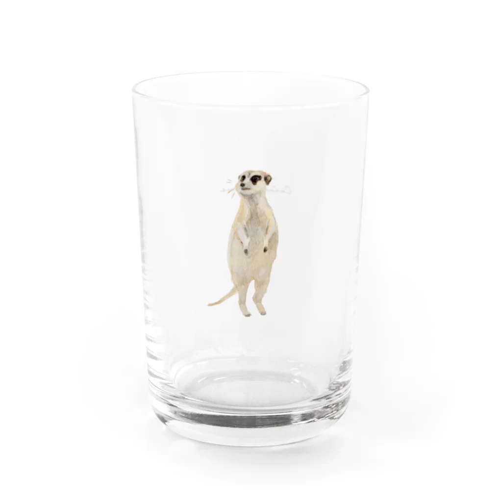 Canako Inoueのミーアキャット Water Glass :right