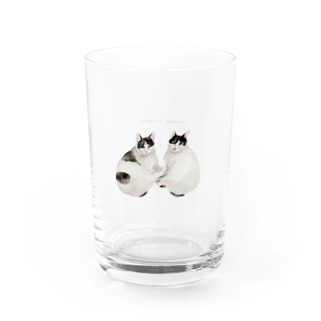 Canako Inoueの双子の猫 Water Glass :right