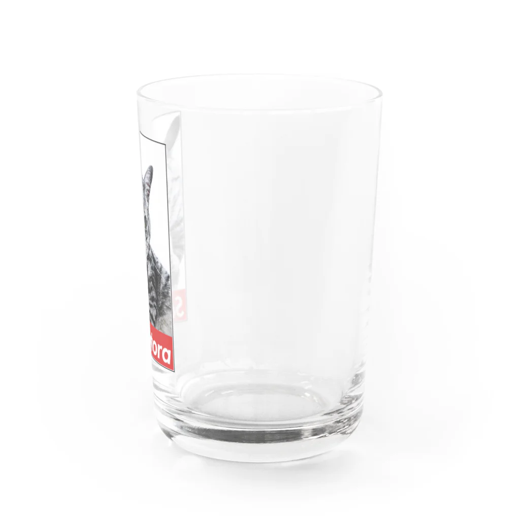 maxima_worksのSabatora Water Glass :right