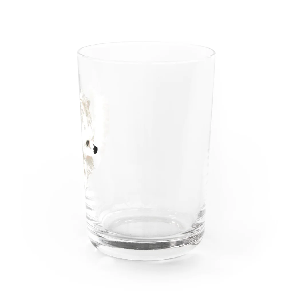 朔のボウルの白ポメラニアン グラス右面