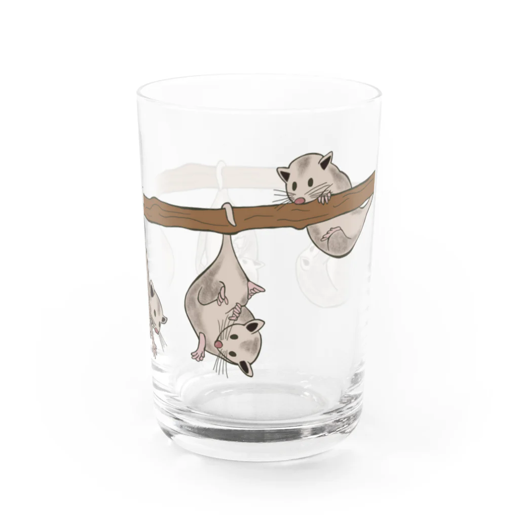 prunelleのオポッサムくんたち Water Glass :right