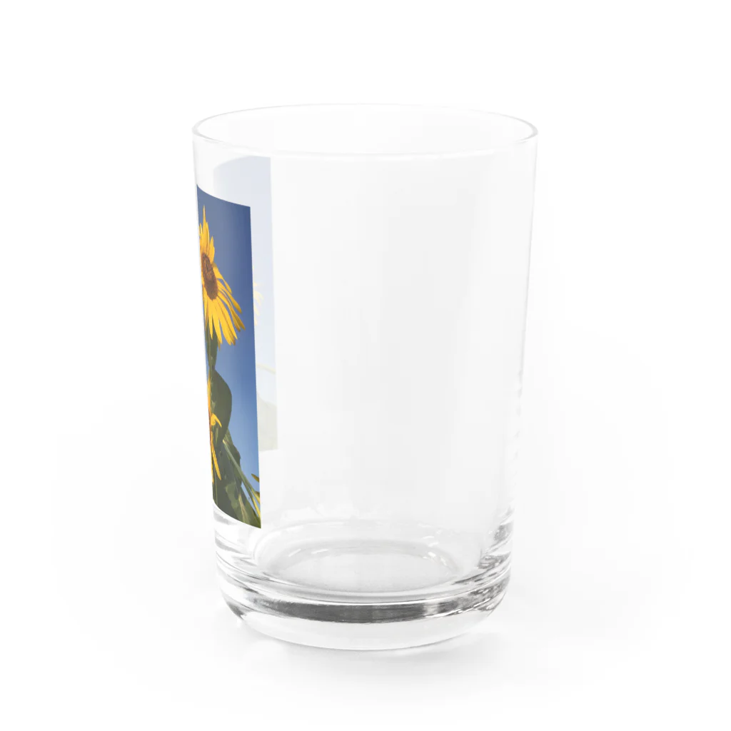 ヘ音工房の青空にひまわり Water Glass :right