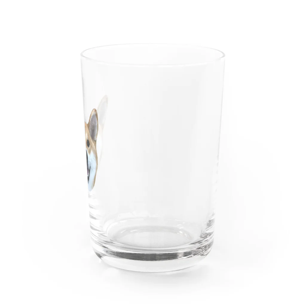 KANTAROの柴犬 かんたろう(実写) Water Glass :right