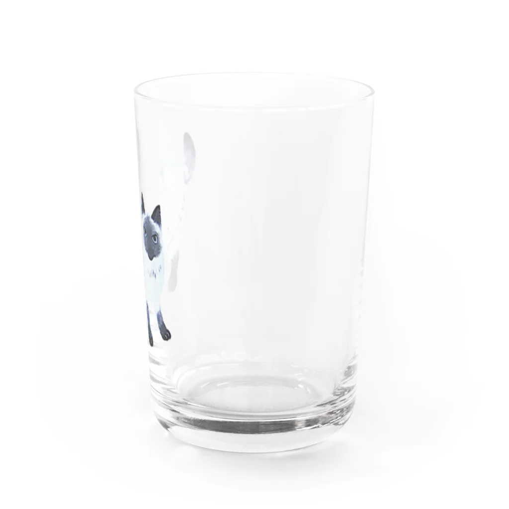 suzuejyaのシャムムムん Water Glass :right