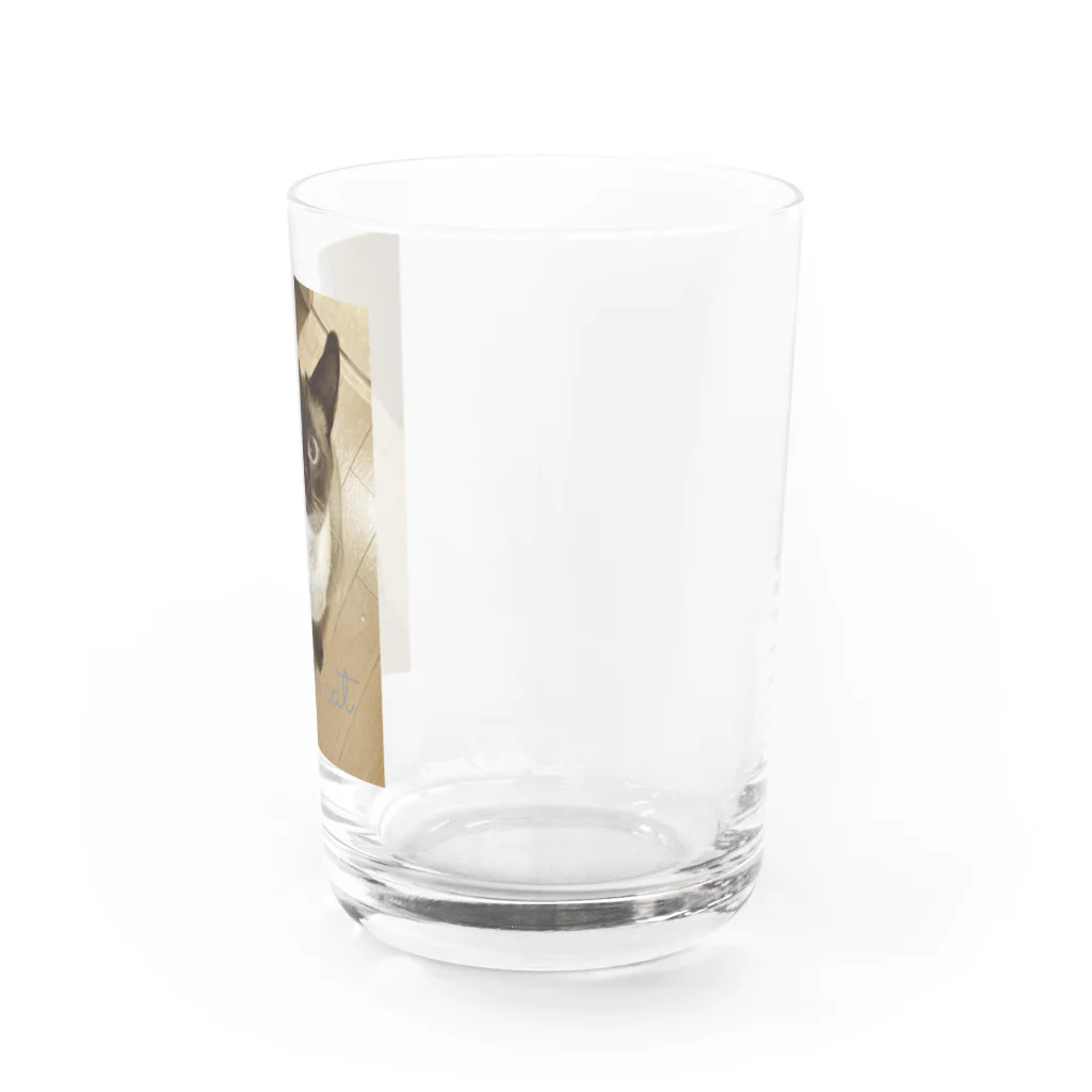 Siamese cat シャムのSiamese cat シャム猫 Water Glass :right