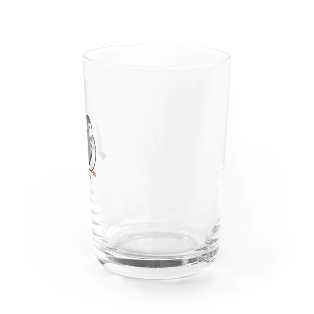 ねむいさんのおみせのごま文鳥 Water Glass :right