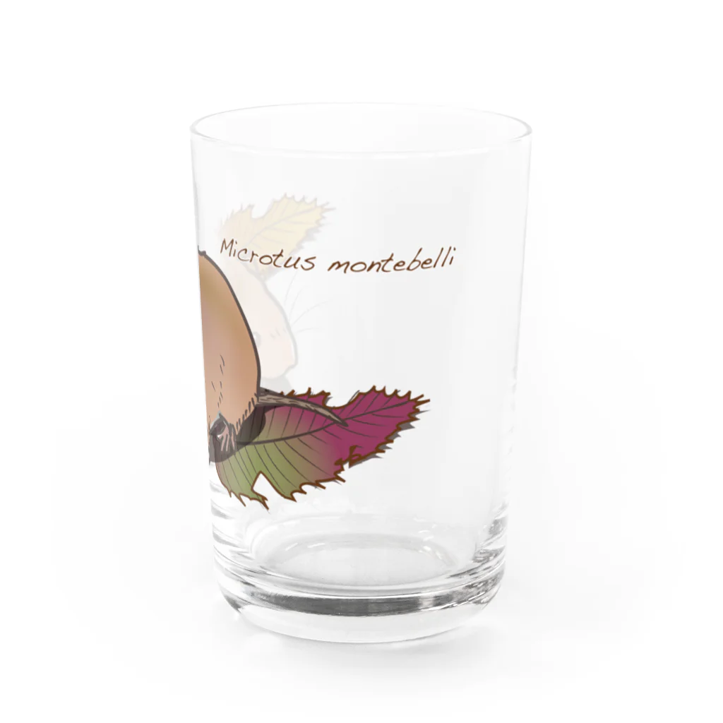 Mika ＠hammytouchの50_ハタネズミ_goods_01  Water Glass :right