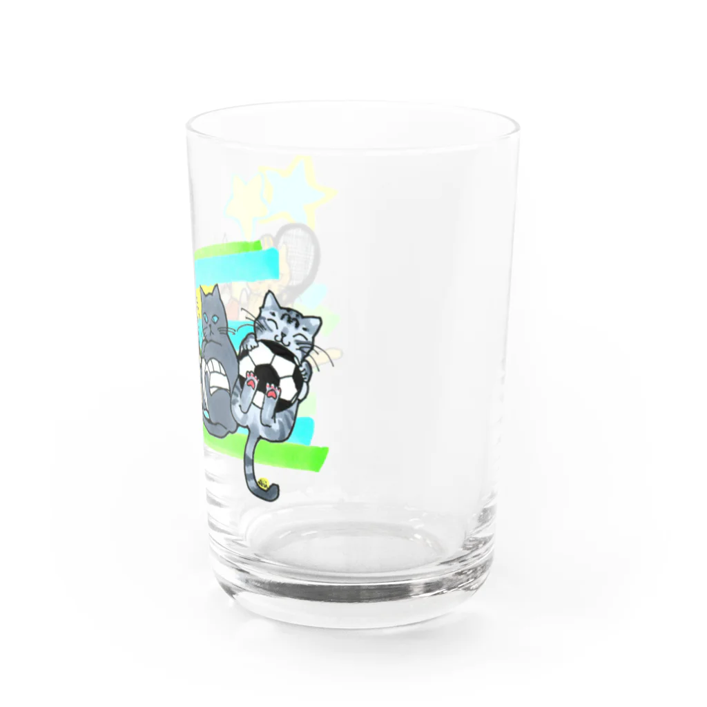 miku'ꜱGallery星猫のネコリンピック✨球技 Water Glass :right