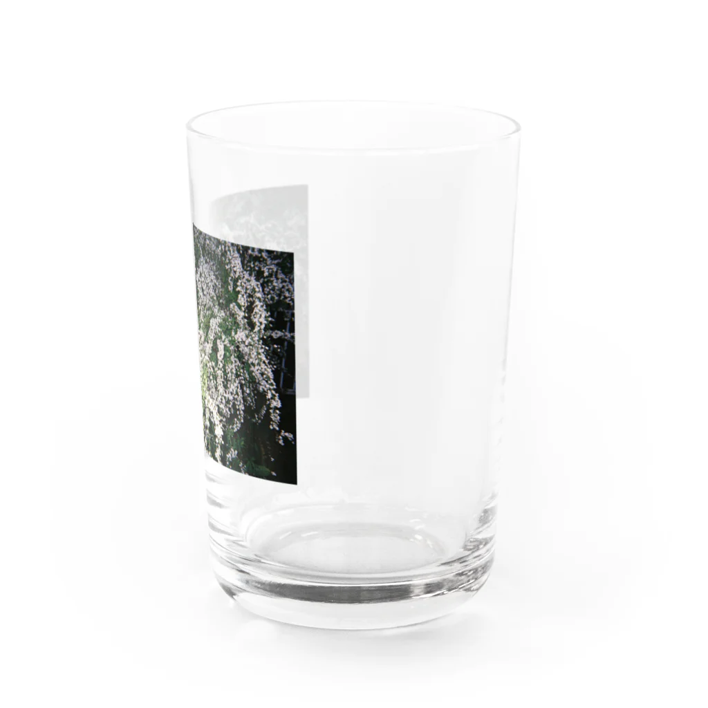 Gradually-storeのYUKIYANAGI Water Glass :right