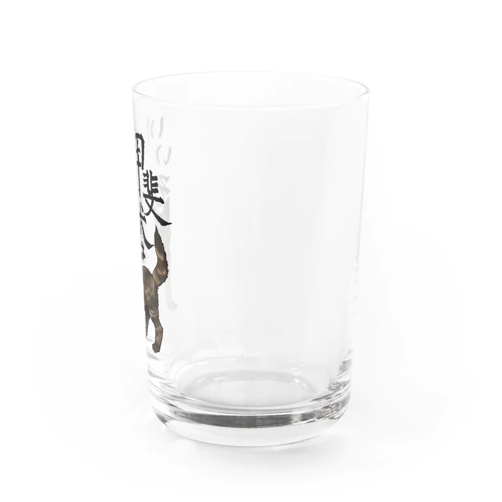 くろげちゃまじりの甲斐犬はいいぞ（中虎） Water Glass :right