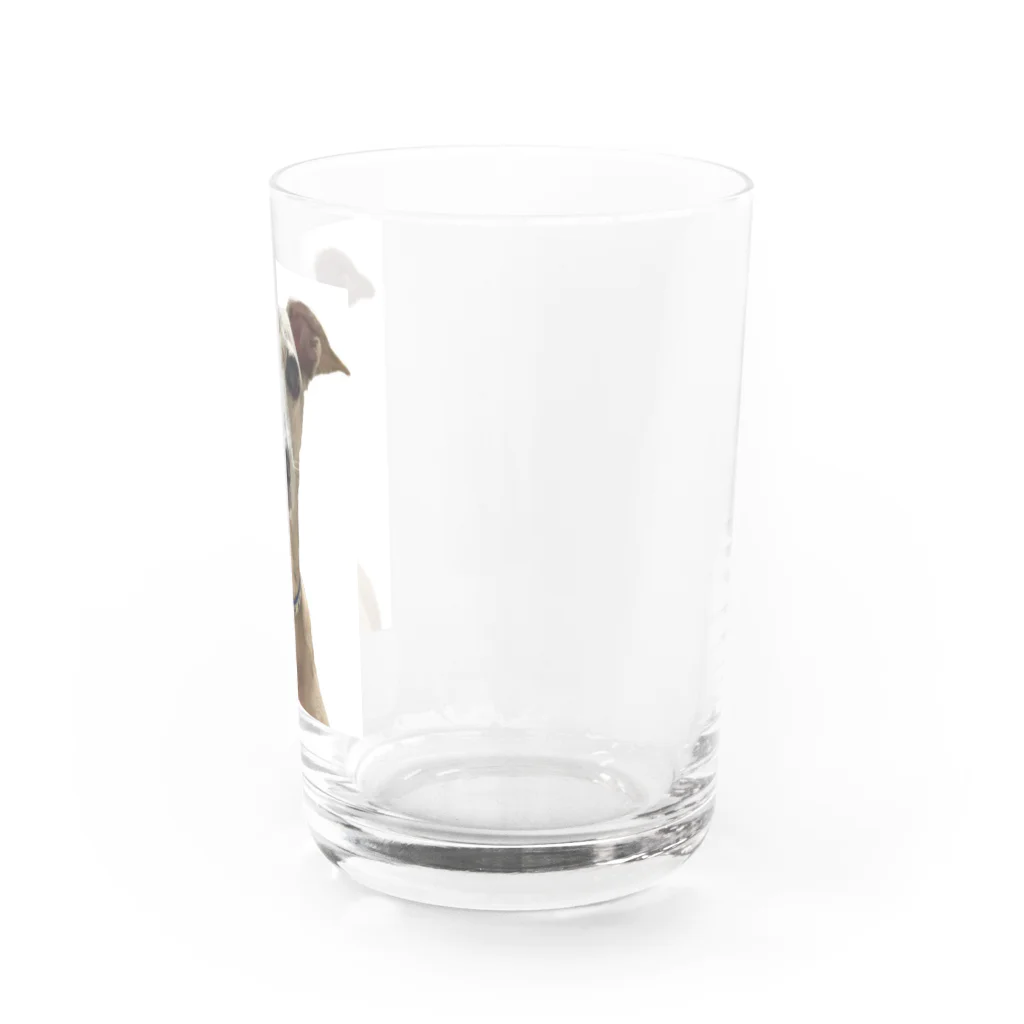 yukari.kのWater Glass :right