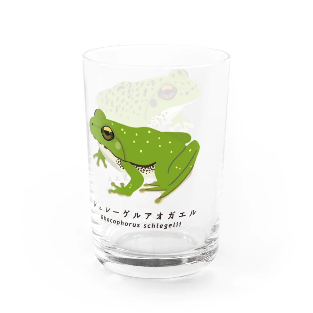 さちこの生物雑貨のアオガエル2種 Water Glass :right