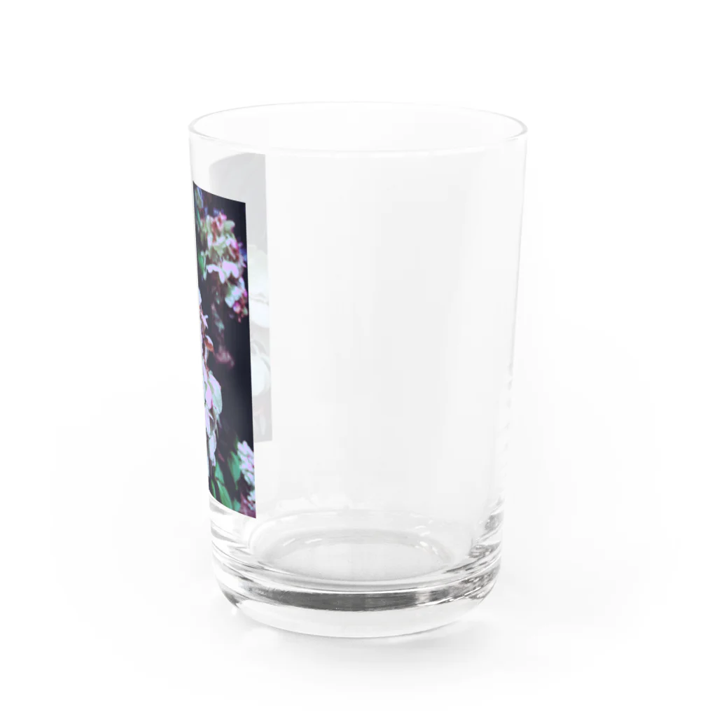 ゆるゆる生きる虎子のよるあじさい Water Glass :right