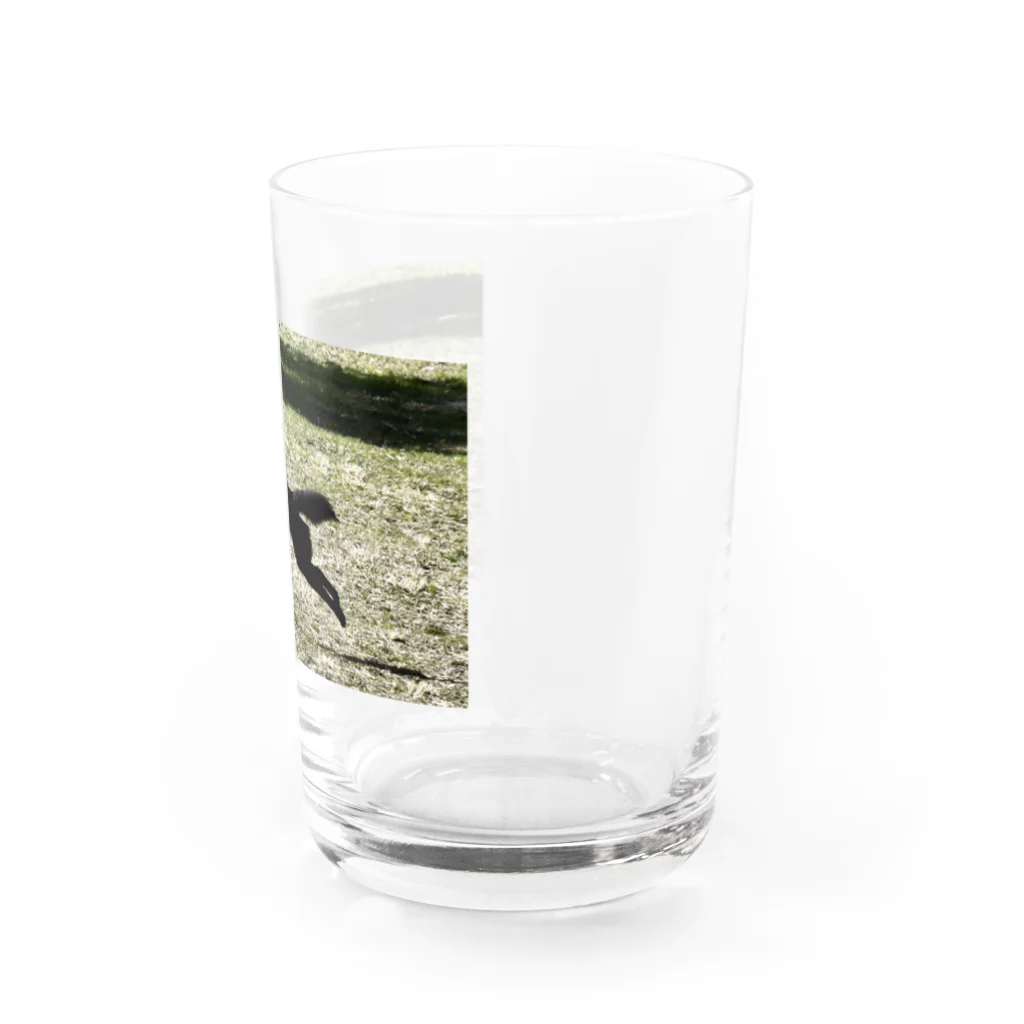 龍馬と紬の部屋の紬ちゃん Water Glass :right