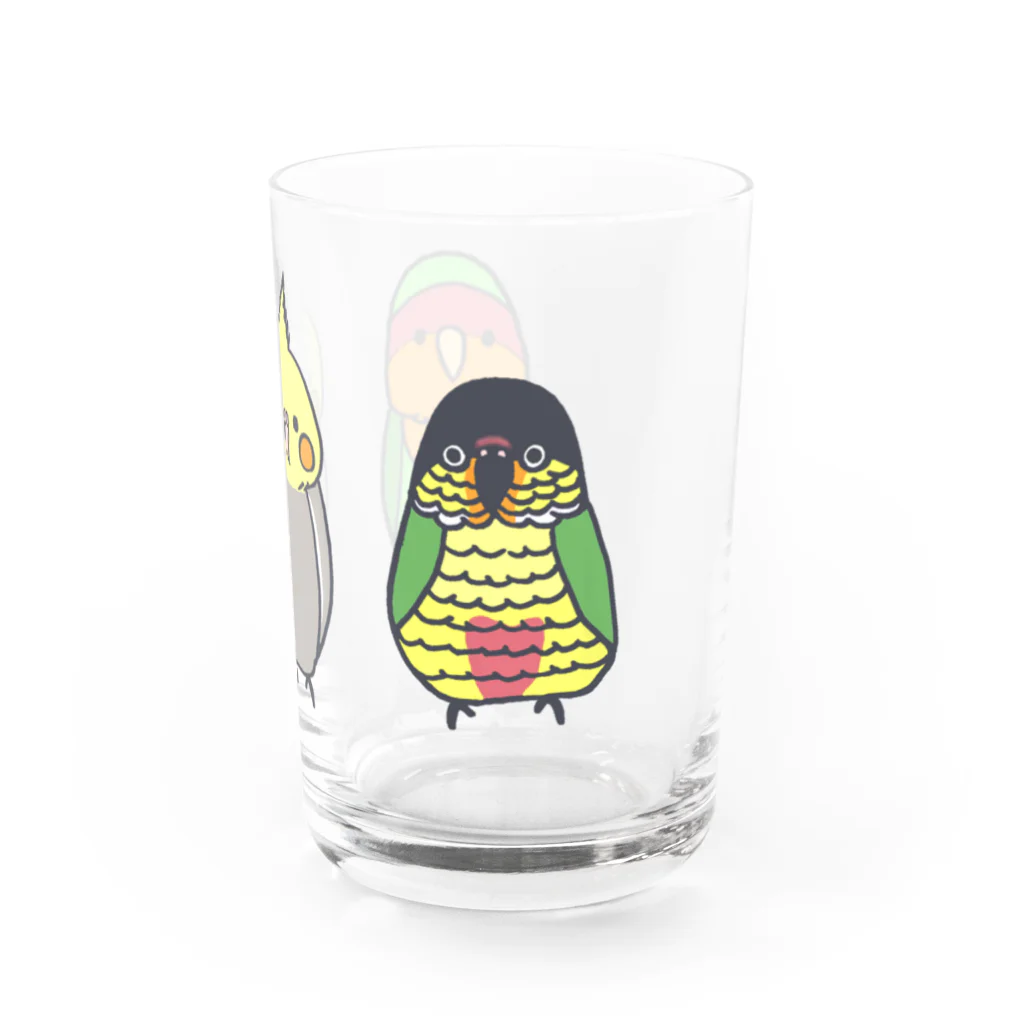 PYPショップの名前なしカラー版　よもぽぽぴぃ Water Glass :right