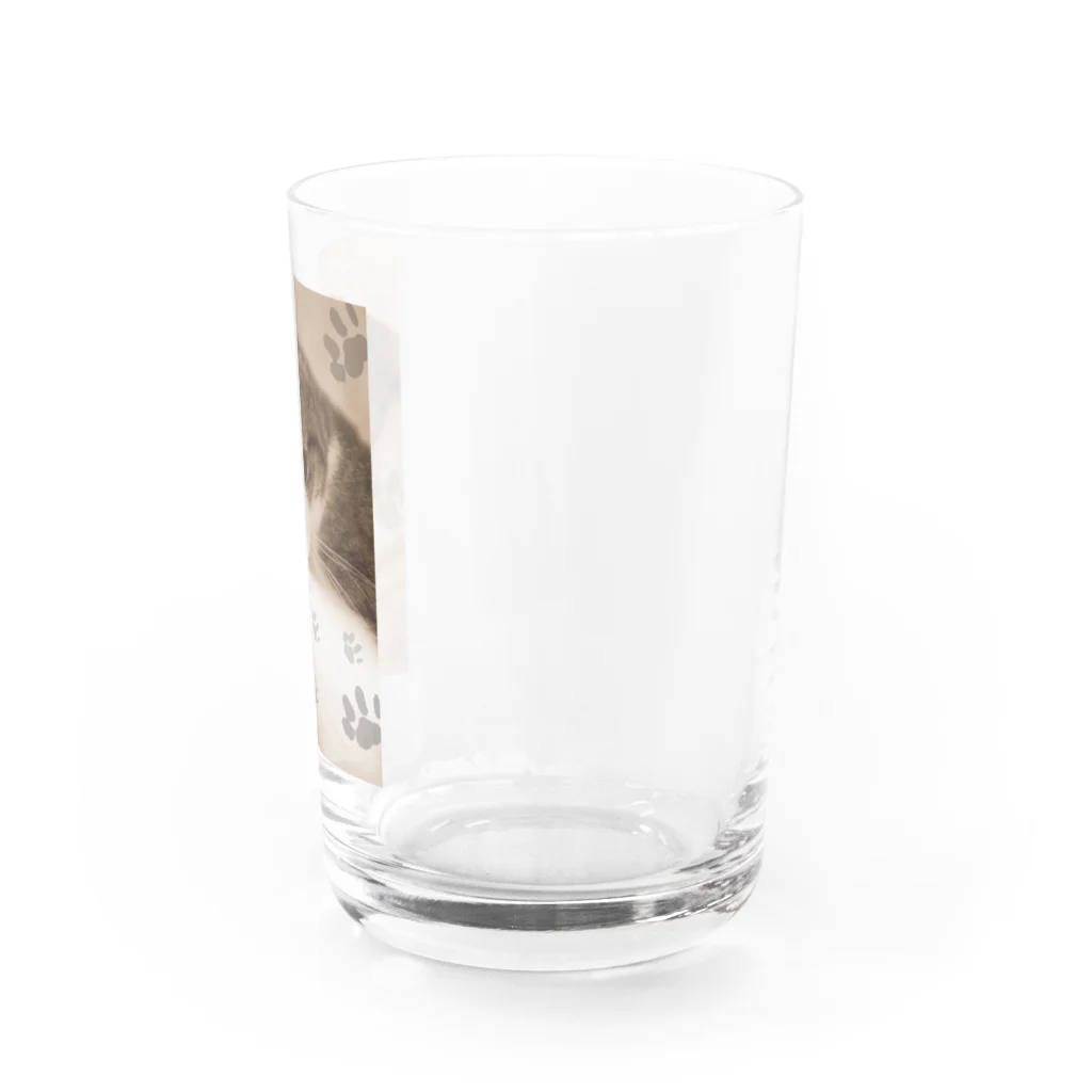 ねこ屋にこ日和の思い出1 Water Glass :right