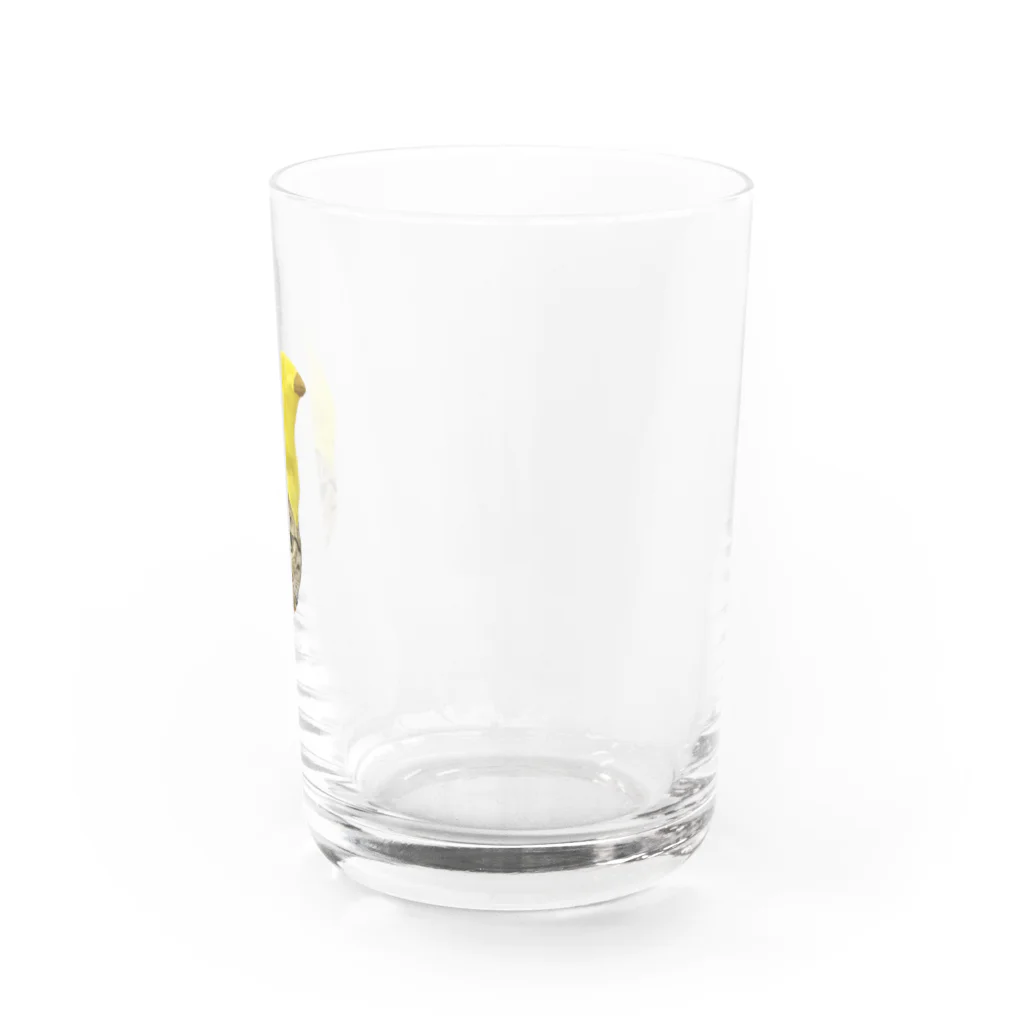 こちょらのバナナこちょら Water Glass :right