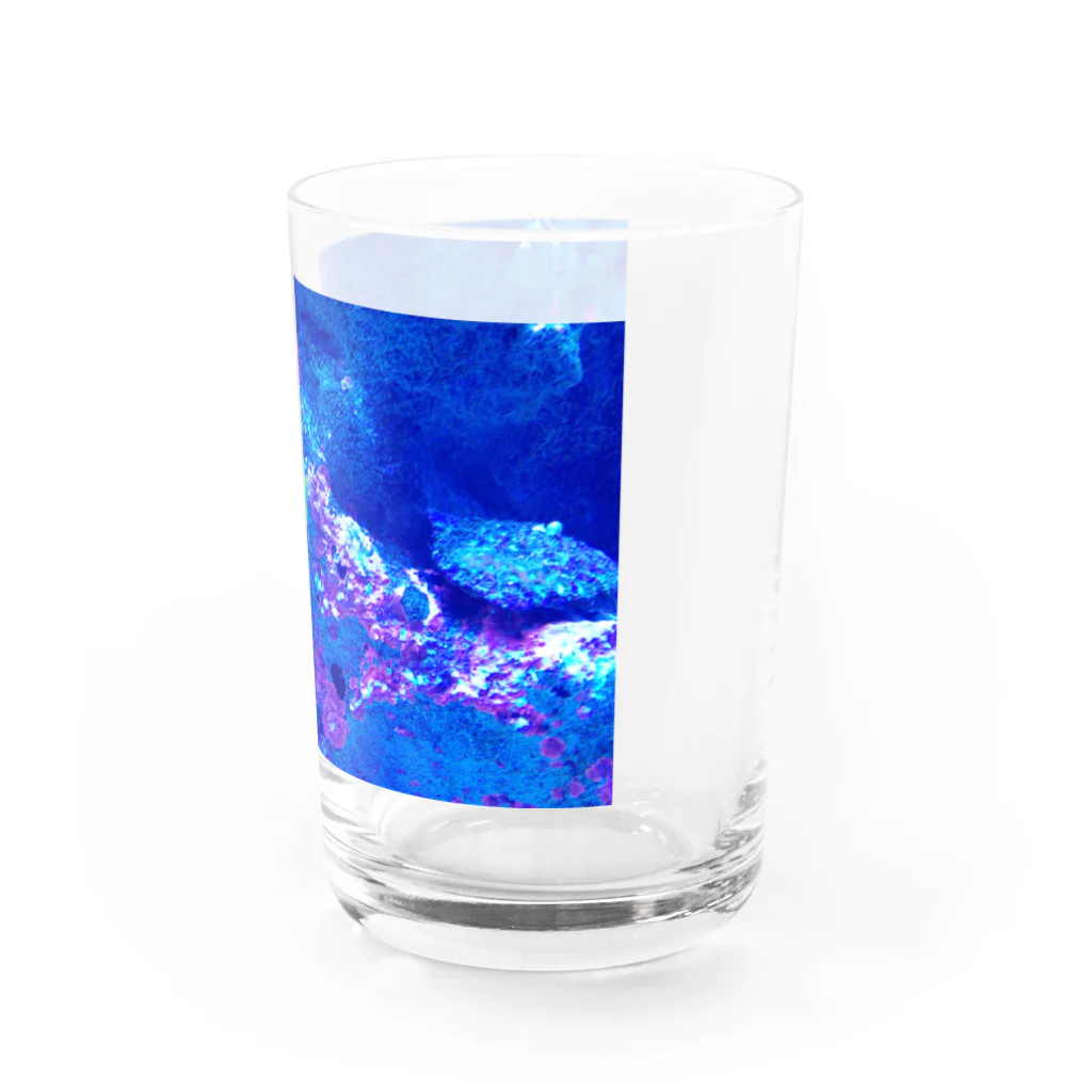 ことりの家のウメイロモドキ Water Glass :right