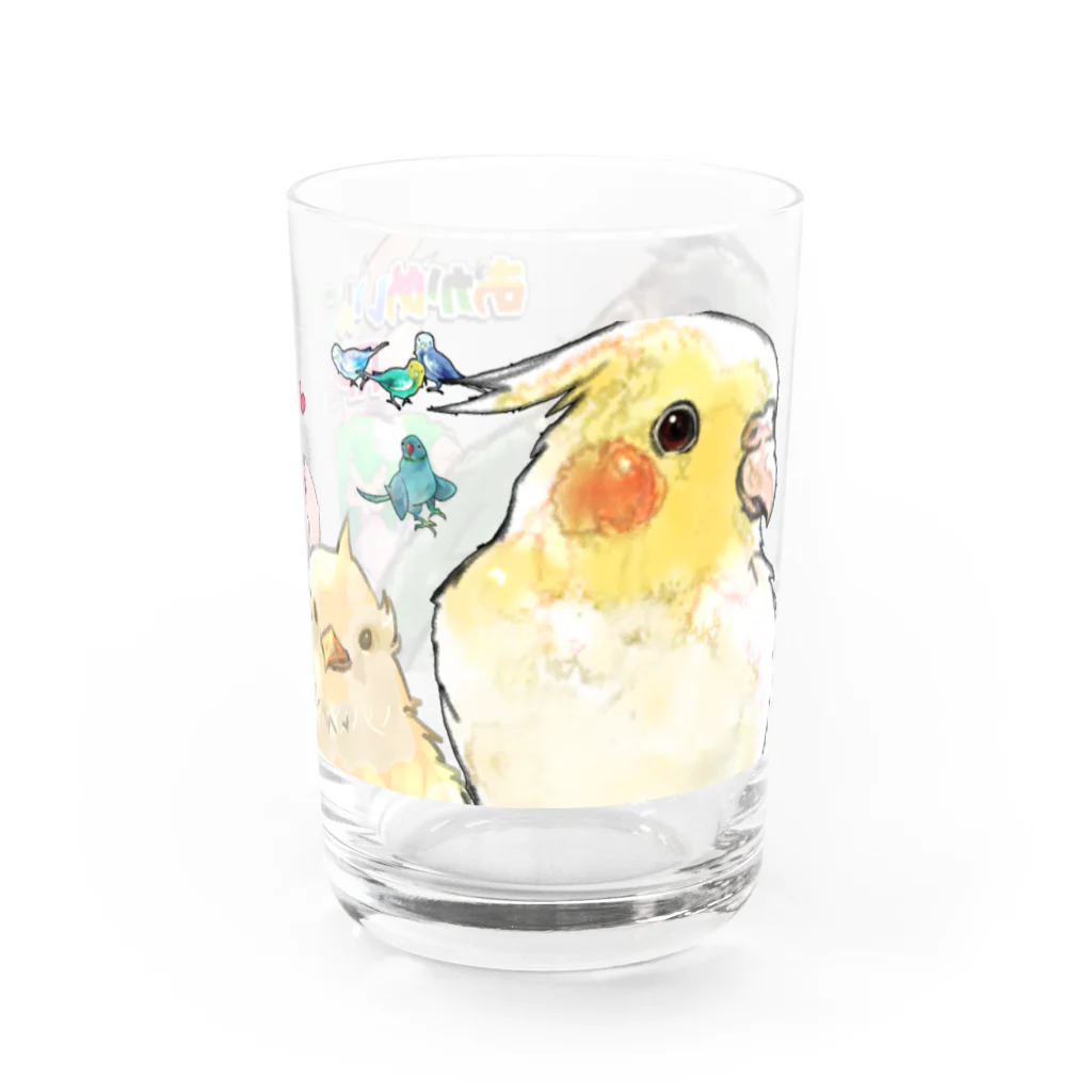 ききのここのインコ盛り合わせ Water Glass :right