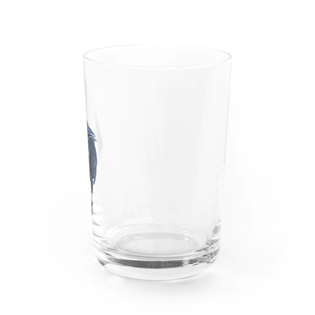 suzuejyaのカラスん Water Glass :right