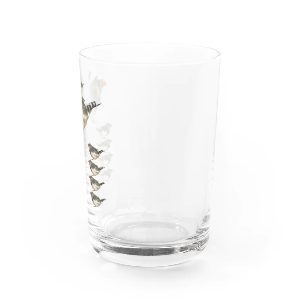 みるくま商店のきんかちょうラブ Water Glass :right