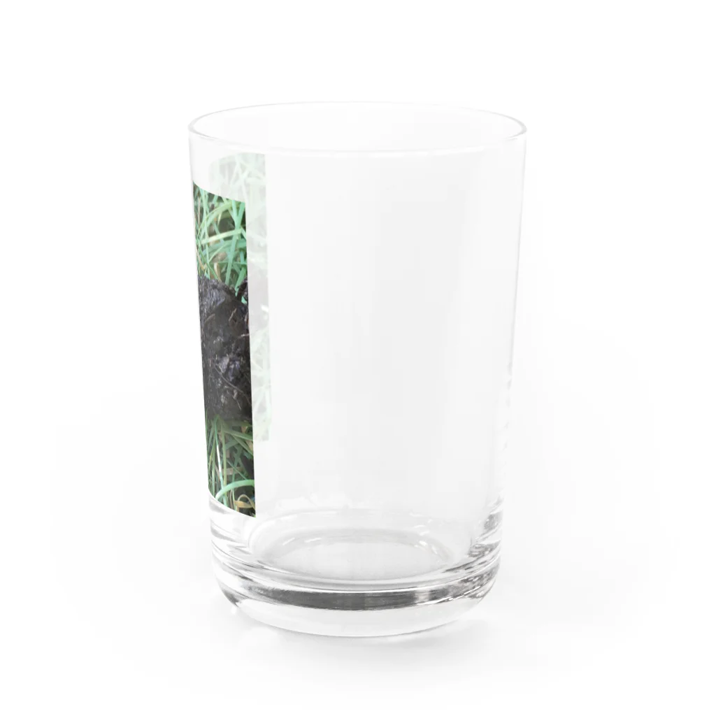 べぽ😇おばのキノコ Water Glass :right