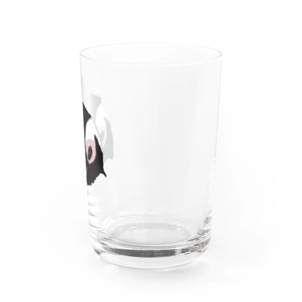 南極商店のケープペンギン Water Glass :right