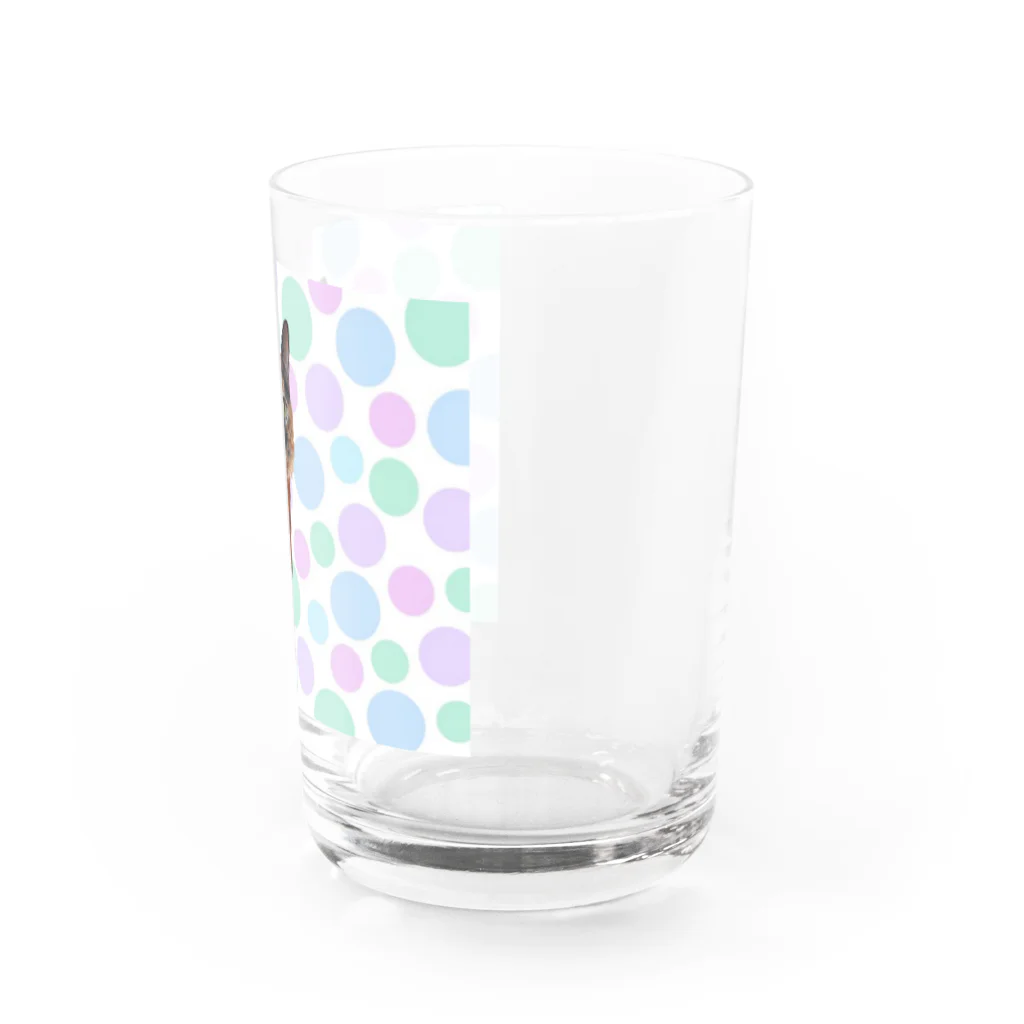 サビちゃんのサビ猫ソフトクリーム(ドット) Water Glass :right