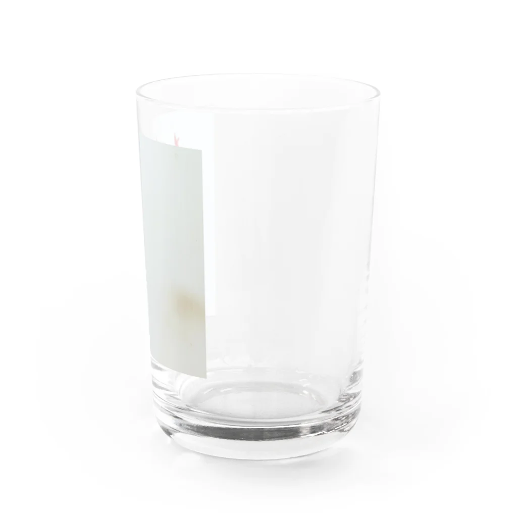 runa のトウガラシ Water Glass :right
