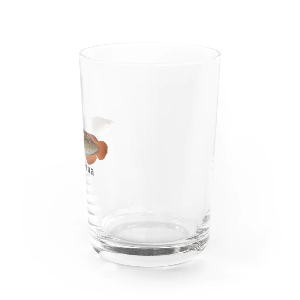 raraのゆるかわTシャツ屋さんのアロワナ Water Glass :right