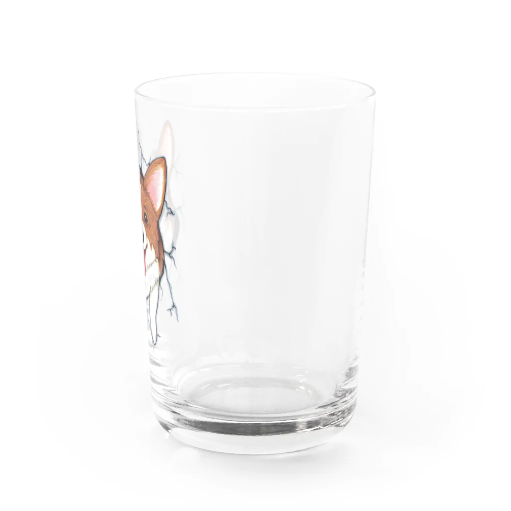 HANA’s NOSE CLIMBINGのCorgi_hana_T01 Water Glass :right