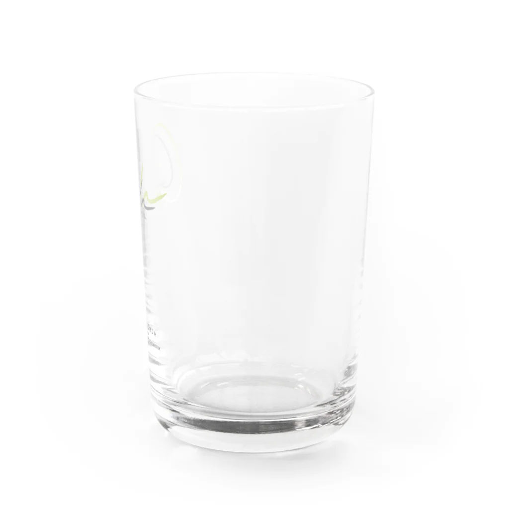 ONDA＋.の014: ONDA+. ロゴオリジナルグラス（グリーンカラー） Water Glass :right