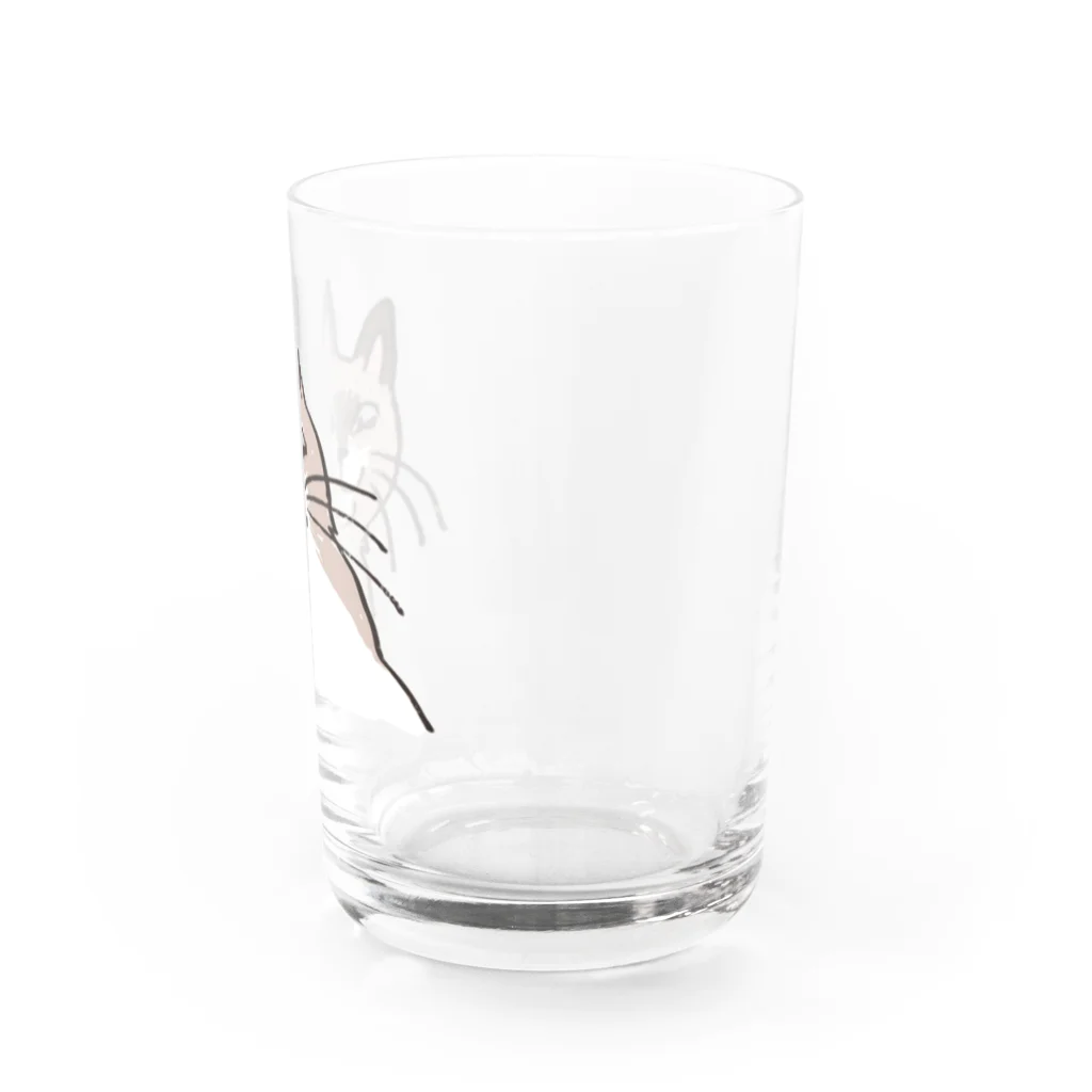 是我それのなんやねん感のある猫06 Water Glass :right