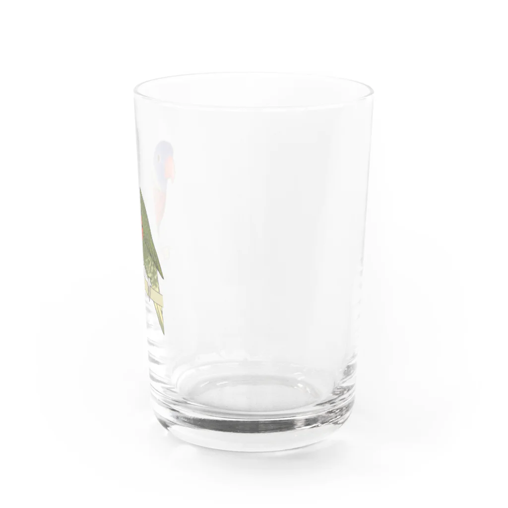 まめるりはことりの色合いが綺麗なゴシキセイガイインコちゃん【まめるりはことり】 Water Glass :right