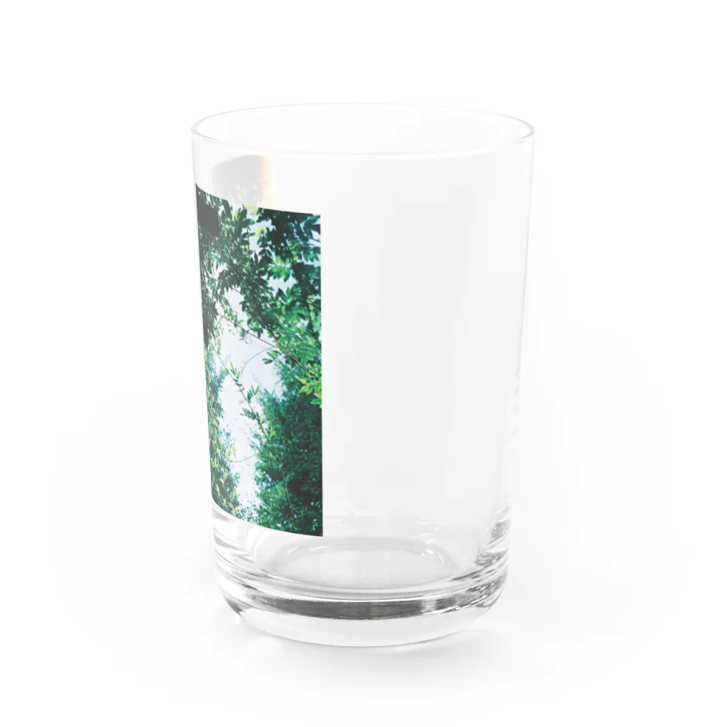 カステラのきらきら Water Glass :right