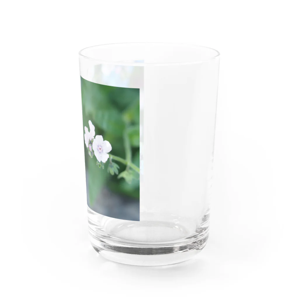 まいしょっぷマイユの小花ちゃん Water Glass :right