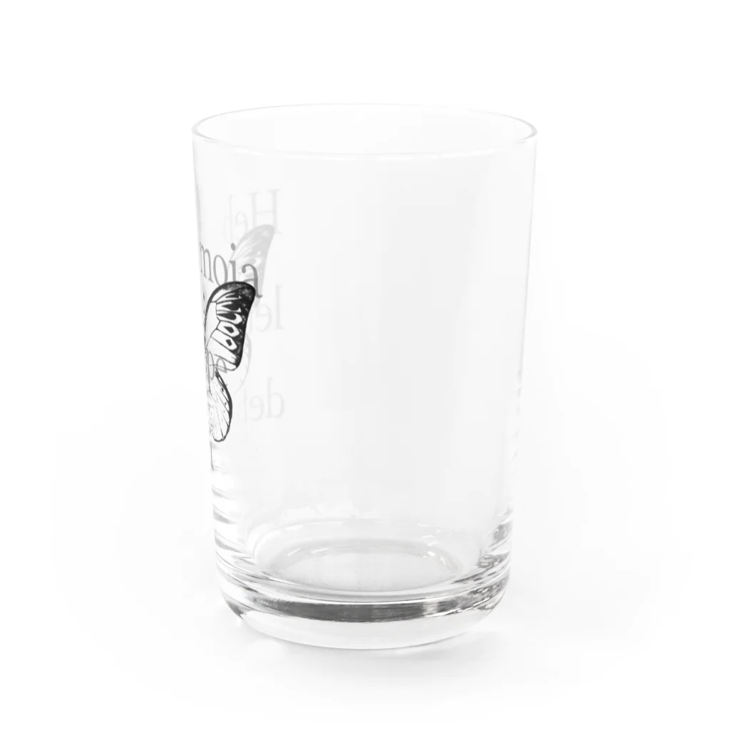 NEROのHebomoia leucippe detani  Water Glass :right