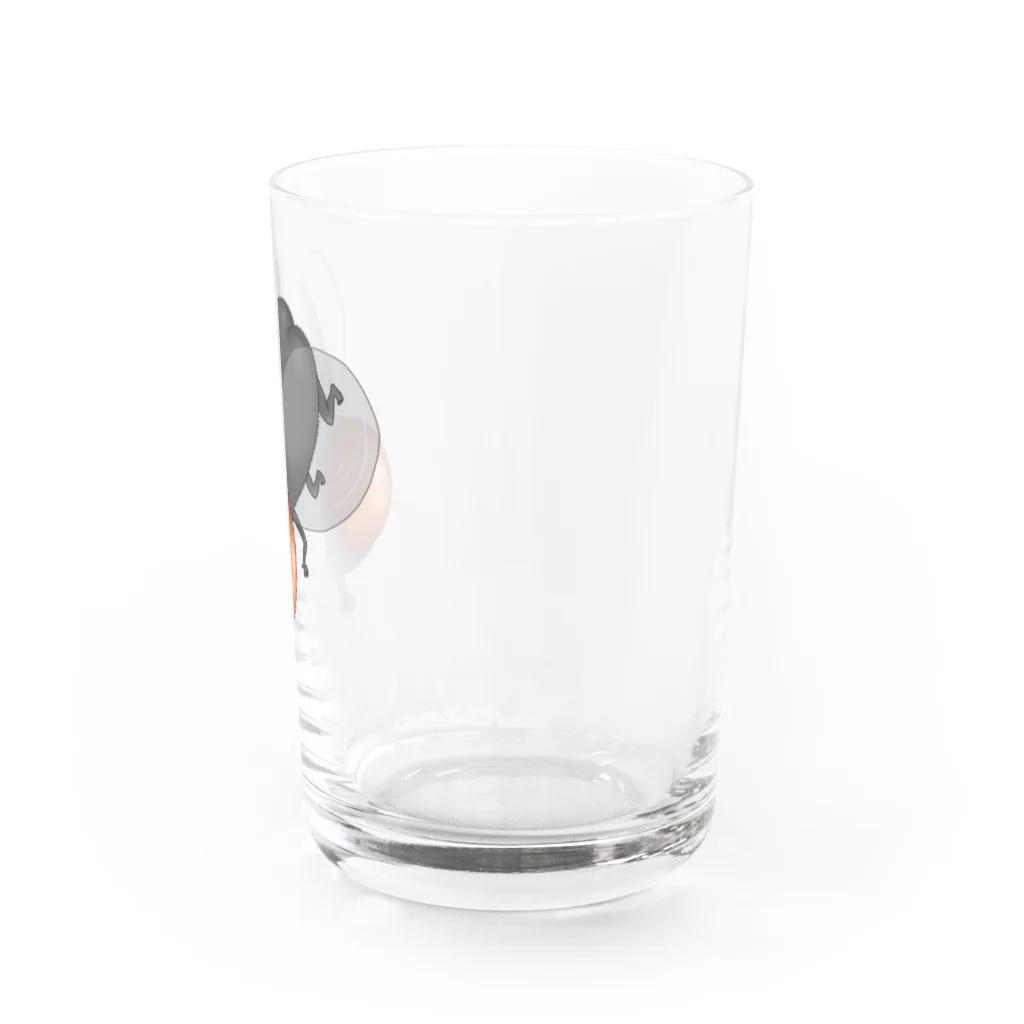 光合成のぷりけつハエくん Water Glass :right