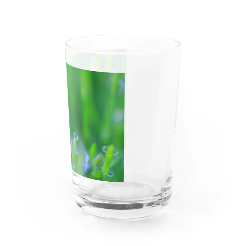 花と緑のみずたま Water Glass :right