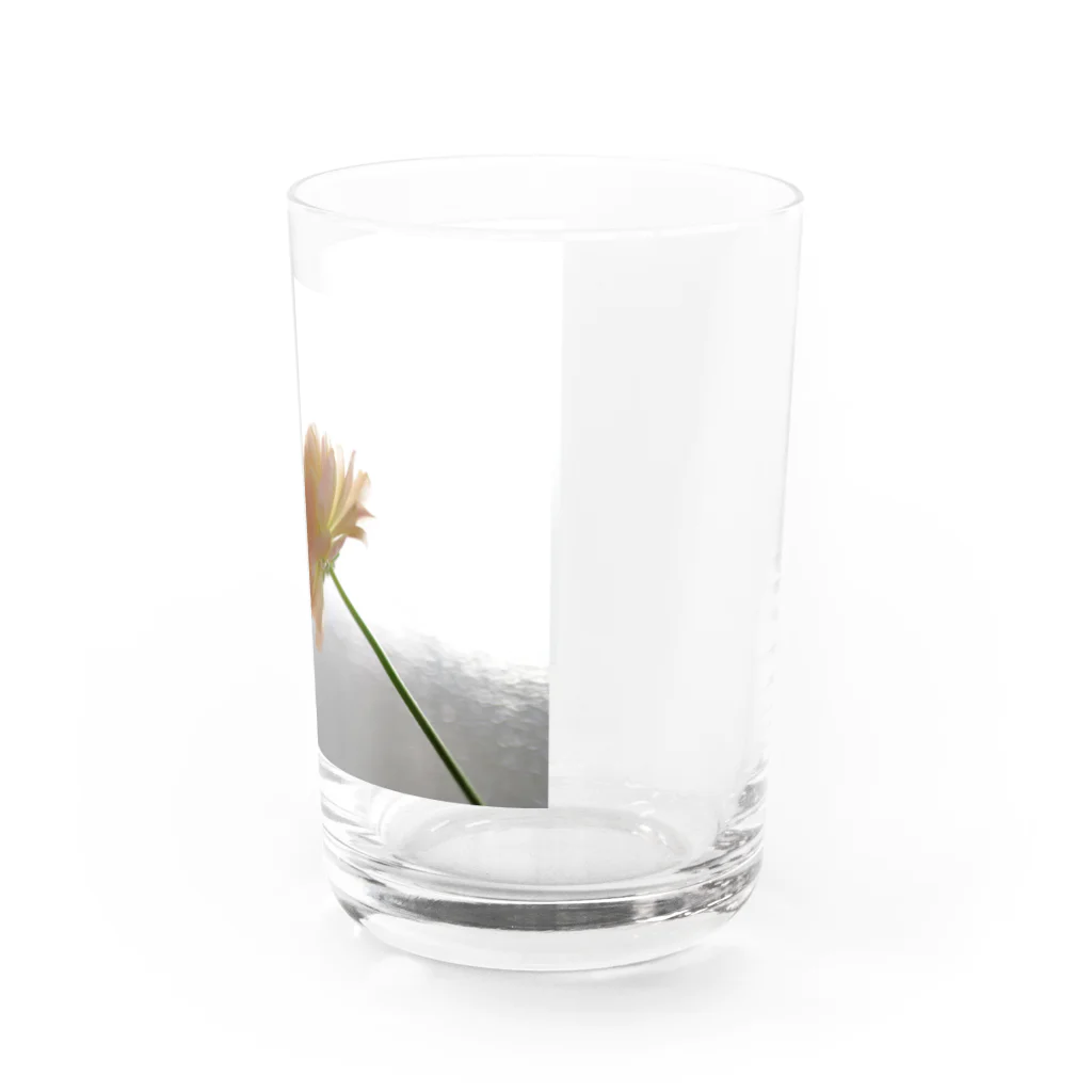 花と緑のラナンキュラス Water Glass :right