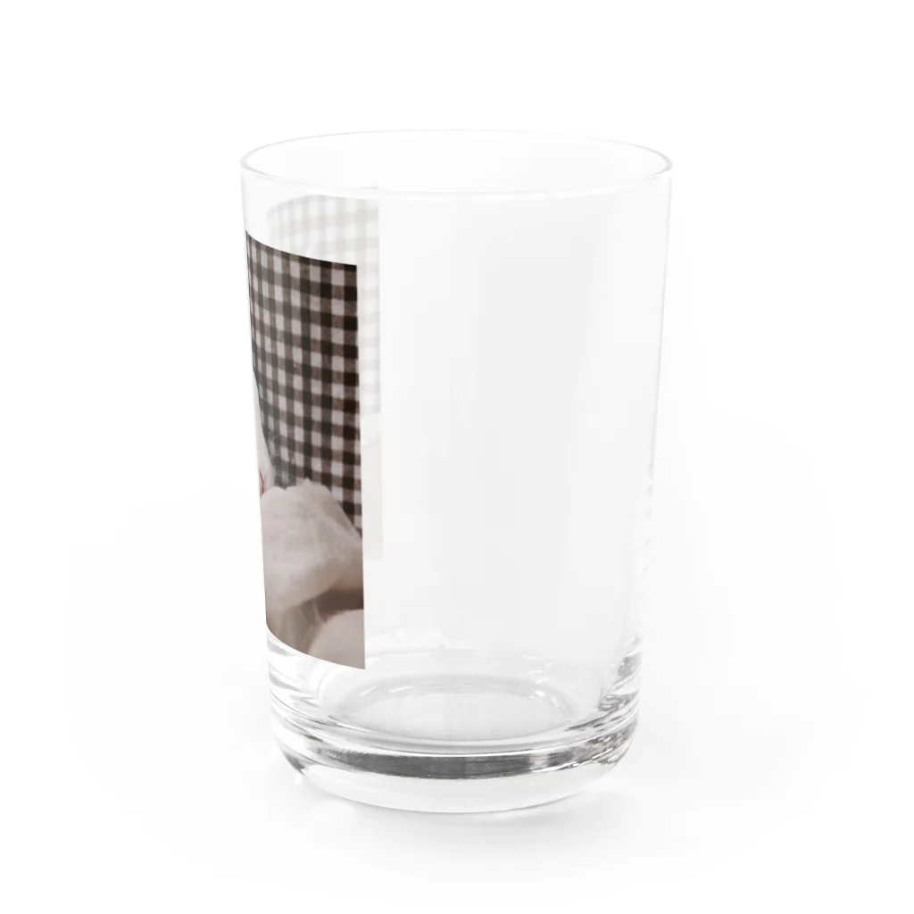 あんにんのおみせのひょっこりあんにん Water Glass :right