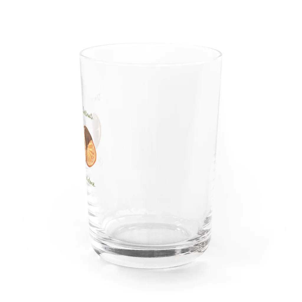 hoshinokakeのユーアーノットマローングラス Water Glass :right