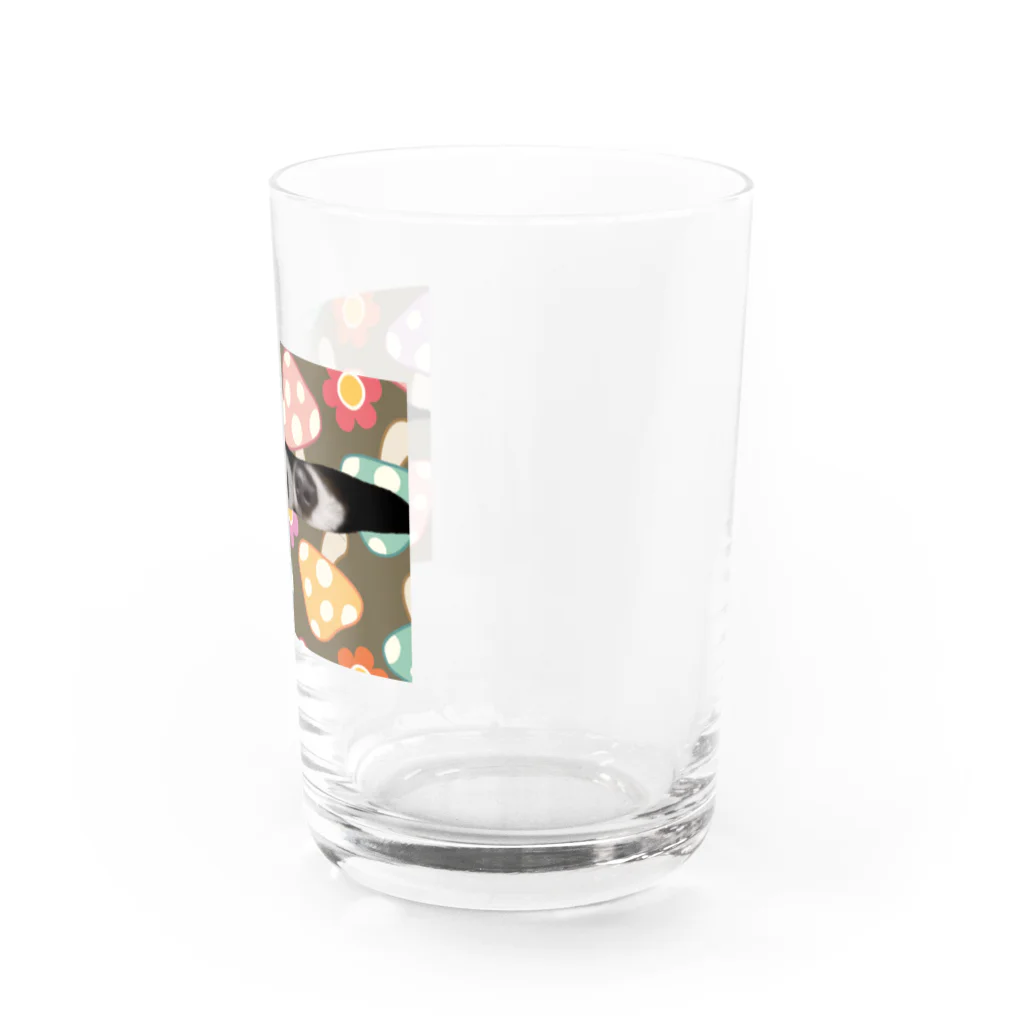 アニマルデザインはなの３匹のわんこ Water Glass :right