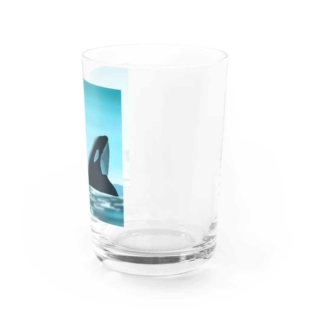 おじょうのSHACHI Water Glass :right