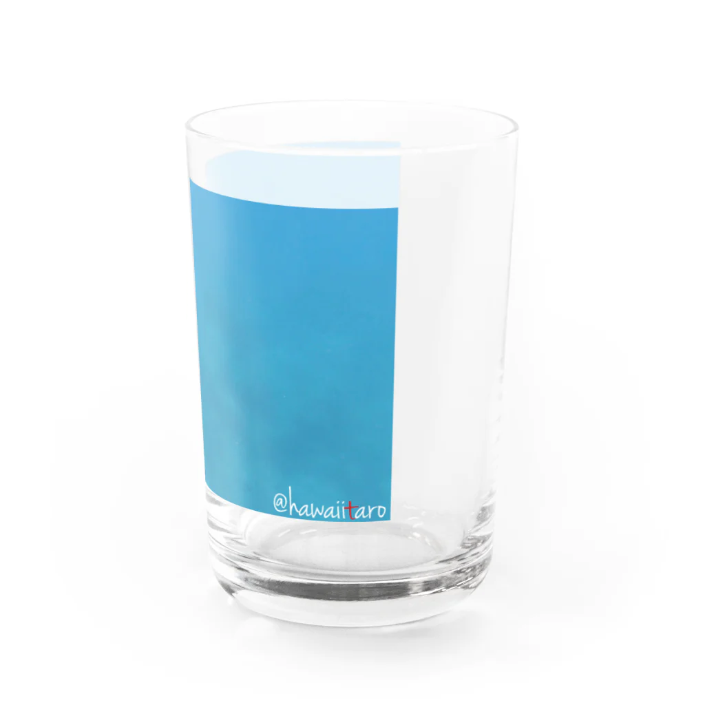 hawaiitaroハワイグッズショップのハワイドルフィン Water Glass :right