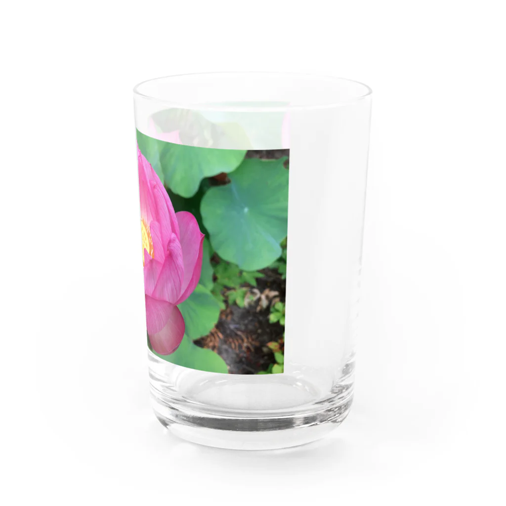 namaste99の蓮の花 Water Glass :right