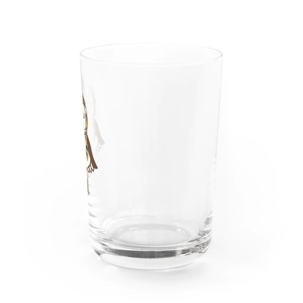 amyu-k フクロウセンターのマチコ巻きメンフクロウ Water Glass :right