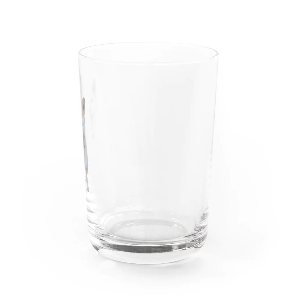 みよしみきのまめちゃん Water Glass :right