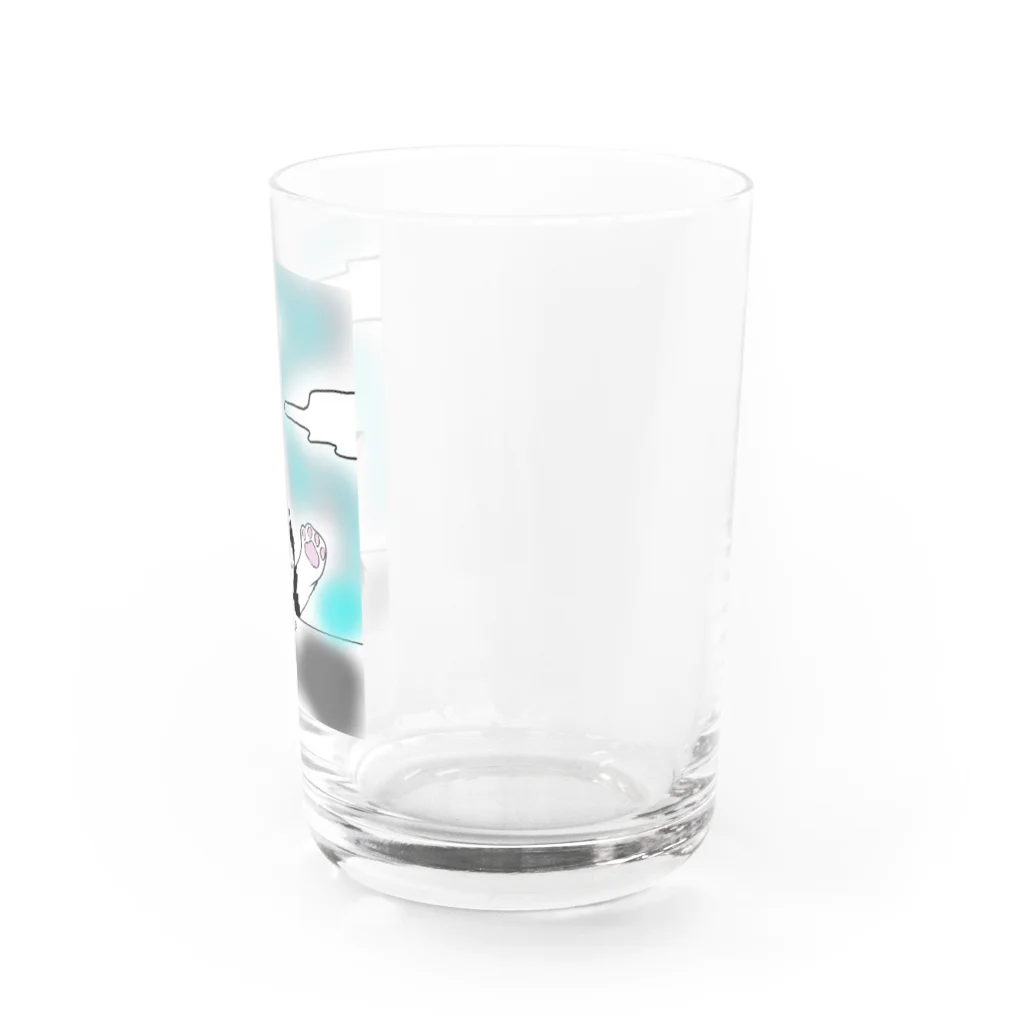 ハチワレ屋のハチワレ猫グラス Water Glass :right