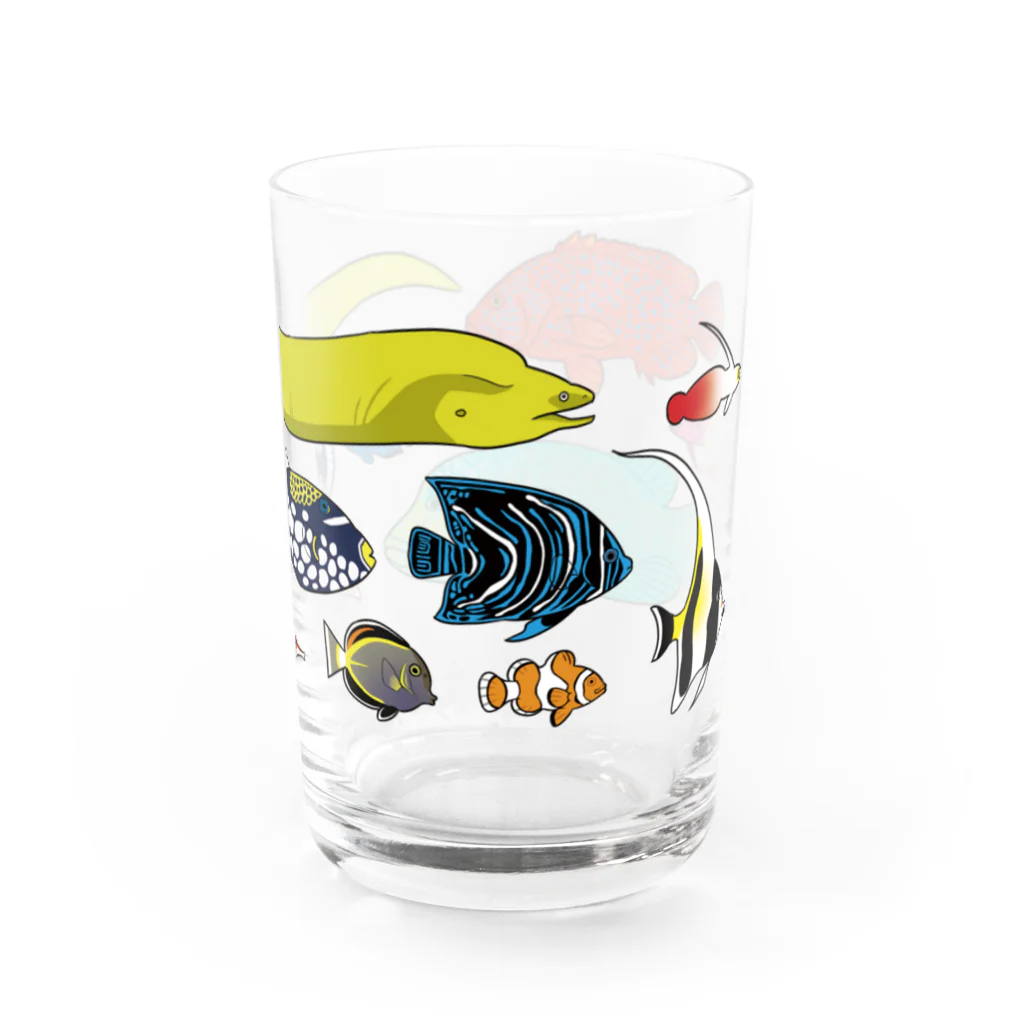 kasugaDNの海水！熱帯魚グラス/color グラス右面